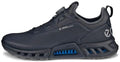 Ecco Biom C4 heren golfschoen BOA (zwart)