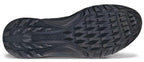 Ecco Biom C4 heren golfschoen BOA (zwart)