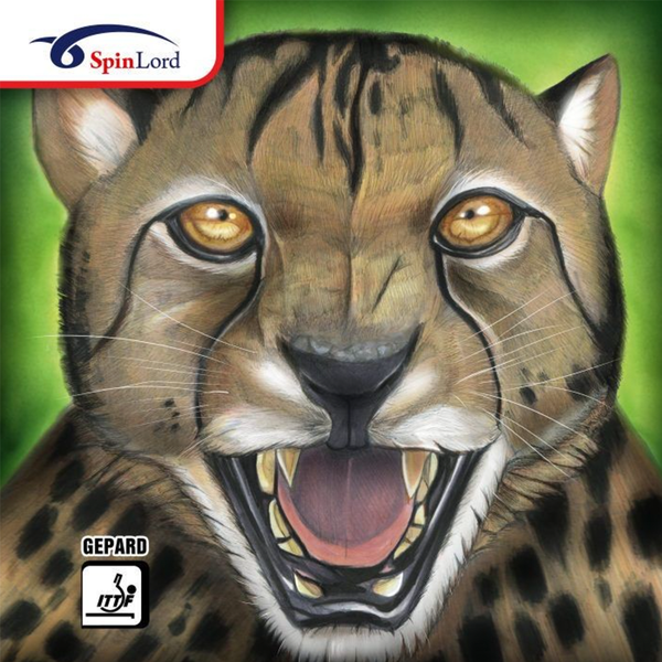 SpinLord Gepard rubber - korte noppen