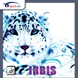 SpinLord Irbis rubber